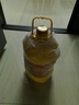 苍茫谣（CangmangYao）低芥酸菜籽油6.18L非转基因物理压榨一级食用油呼伦贝尔农垦出品 实拍图