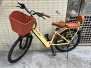凤凰（Phoenix）新国标电动自行车成人锂电池电动车男女士小型电瓶车长续航电动助力自行车 L8米色/速度传感/单速/26寸辐条轮 6AH电动续航18公里 实拍图