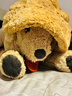Jellycat巴塞罗熊渔夫帽毛绒帽子送礼生日礼物 棕色 Large/Extra Large 实拍图
