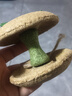 licheers金丝熊磨牙苹果核仓鼠磨牙棒粮食营养零食鼠粮磨牙饲料 实拍图