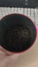 福茗源金骏眉红茶 茶叶 买2件=发3罐 新茶正山红茶小种浓香罐装125g 实拍图