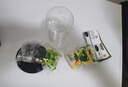 TaTanice积木花束向日葵永生花摆件儿童大颗粒拼装玩具女孩送闺蜜生日礼物 实拍图