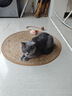 憨憨乐园猫抓板防剑麻草绳猫爪板猫抓垫不掉屑磨爪猫爪垫地毯睡垫用品 实拍图
