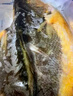 三都港 宁德三去开肚大黄鱼800g/2条净重 清蒸黄花鱼 生鲜 烧烤 实拍图