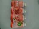 优乐多山楂陈皮乳酸菌饮品100ML*20瓶 实拍图