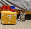 USPET英国宠物猫咪狗狗益生菌幼犬幼猫调理肠胃软便拉稀专用活性益生菌 实拍图