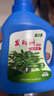 发财树专用营养液吊针液发黄掉叶子枯叶烂根肥料树木复活液激活剂 1瓶【500ml】一斤装 实拍图