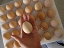 京觅富硒鲜鸡蛋 无抗生素  营养健康 30枚/盒3斤  源头直发 实拍图