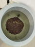 sobo鱼缸氧气泵养鱼增氧机充氧泵家用小型制氧机氧气机鱼用充氧器低音 【升级更静 气量可调】双孔3.5W+气石套餐 实拍图