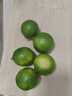 台湾品种 塔希提无籽青柠檬 香水柠檬 新鲜皮薄 多汁沁香 绿色 尝鲜装含箱500g（花皮果） 实拍图