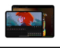 Apple/苹果 iPad Pro 11英寸 M4芯片 2024年新款平板电脑(1T WLAN版/标准玻璃/MVVF3CH/A)银色 实拍图