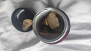 同仁堂品牌北京同仁堂 阿拉善肉苁蓉200克大芸鲜干片滋补泡茶泡酒 实拍图