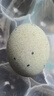 数鴨子（SHUYAZI）高邮特产松花蛋变蛋皮蛋 55g*20枚家庭装 实拍图