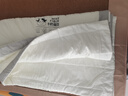洁丽雅（Grace） A类面料10%牛奶纤维可机洗夏凉被夏季空调被子被芯150*200cm奶杏 实拍图