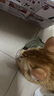 最宠（Paddy Time）猫罐头100g*8主食罐混合味 全价无谷生骨肉宠物成幼猫粮增肥发腮 实拍图