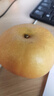 京地达秋月梨砀山秋月梨雪梨香梨子水果送礼净重4.8斤单果300g+源头直发 实拍图