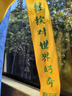 铼德(ARITA) e时代系列 DVD+R 16速4.7G 空白光盘/光碟/刻录盘 桶装50片 实拍图