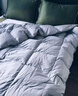 然牌 TTC静音抗菌白鹅毛被芯 加厚保暖冬被 约4斤 150x200cm 白色 实拍图