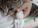 多特思（DOTUS）猫零食猫条混合口味15g*100支0添加0诱食剂成幼猫咪零食罐头湿粮 实拍图