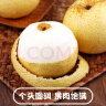 京地达酥梨砀山酥梨 新鲜梨子香梨水果净重8.8斤 单果250g+源头直发 实拍图