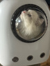 宠德多猫背包猫包外出猫太空舱宠物猫咪狗狗外出便携包双肩包猫书包12孔 基础款无侧开白色（13斤内猫） 实拍图
