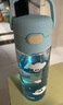 膳魔师（THERMOS）儿童大水杯壶tritan便携直饮杯男女学生小熊猫塑料水壶600ml蓝 实拍图