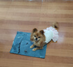 馋小汪狗狗零食火腿肠宠物狗零食狗香肠幼犬成犬泰迪金毛全犬种宠物零食 【30支】袋装 混合口味 实拍图