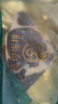 茶牛厚切原切牛排 生鲜牛扒 澳洲眼肉280g  冷冻礼袋装 空气炸锅牛排 实拍图