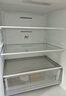 东芝（TOSHIBA）小小白285小户型大容量家用三门嵌电冰箱风冷无霜一级能效低温触媒抗菌国家补贴GR-RM285WI-PM153 实拍图