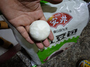 安井 红豆包 1kg 2斤装约33个 豆沙包 广式早茶糕点点心 家庭装面点 实拍图