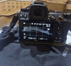 尼康（Nikon）Z7II（Z7 2/Z72）全画幅微单机身 微单机身（约4,575万有效像素 5轴防抖）  实拍图