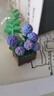 若来（Rolife）超级世界花园拼装diy小屋积木玩具手工制作模型儿童生日礼物女孩 实拍图