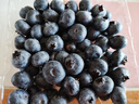 怡颗莓Driscoll's当季新鲜云南蓝莓14mm+ 4盒装 约125g/盒 京东超市水果 实拍图