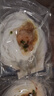 獐子岛 冷冻蒜蓉粉丝扇贝400g 12只 虾夷扇贝 烧烤食材 海鲜 生鲜 实拍图