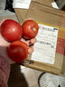 【超市精选】山东沙瓤水果西红柿新鲜番茄蔬菜减肥单果100g起 西红柿中大果 3斤 带箱 实拍图