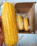 佳农新疆有机彩糯玉米棒8袋*220g 软糯 真空锁鲜 源头直发 礼盒包邮 实拍图