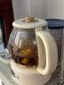 小熊（Bear）煮茶器煮茶壶 养生壶烹煮一体茶壶迷你蒸茶器 316L喷淋式不锈钢烧水壶黑茶茶具1升ZCQ-F10N7 实拍图