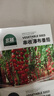 北蔬 西红柿种子种苗盆栽小果大果番茄蔬菜种籽 8种西红柿种子组合 晒单实拍图