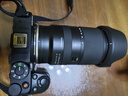 腾龙（Tamron）B061Z 18-300mm F/3.5-6.3 Di III-A VC VXD防抖远摄大变焦微单镜头旅游（尼康Z口） 实拍图
