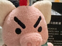 问童子【618】奋斗系列挂偶 毛绒玩偶钥匙扣小挂件兔猪公仔女孩礼物 奋斗挂偶 蛙 实拍图