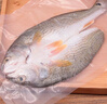 仙泉湖三去斑点尾鲈鱼1斤单条净膛后冷冻肉厚刺少 海鲜水产生鲜食材 实拍图