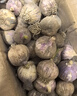 志褚独头蒜大蒜头 2024云南大理紫皮独蒜 精品新鲜现挖湿蒜 3斤装【大果3.0-3.5cm】 实拍图
