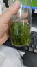 贡苑2025头采新茶小叶苦丁茶260g 峨眉山明前嫩芽降特优级花草茶 实拍图