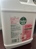 滴露（Dettol）洗手液补充装大桶消毒滋润5L 儿童家庭装杀菌护手 实拍图