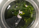 方家铺子中华老字号 六星裙带菜150g 大片叶L号 高泡发鲜嫩干货火锅食材 实拍图