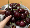 田良季车厘子樱桃金钻级【JD/顺丰空运-多地次日达】大连美早水果送礼 4斤(净重)  【超划算】 【礼箱装】单果22-26mm 实拍图