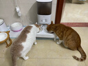 霍曼（Homerun）宠物智能自动喂食器猫粮狗粮定时猫咪自动投食机陶瓷双碗增高版 实拍图