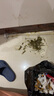 德国进口品质一键开盖防摔高硼硅耐高温玻璃杯钢化玻璃防摔玻璃杯 [双层升级款]银色550ML550ml1只 实拍图