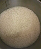 苏垦 珍珠米40斤 宝金玉大米5kg*4 绿色食品 国企品质2024年新米 实拍图