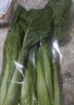 小白菜 约300g 实拍图